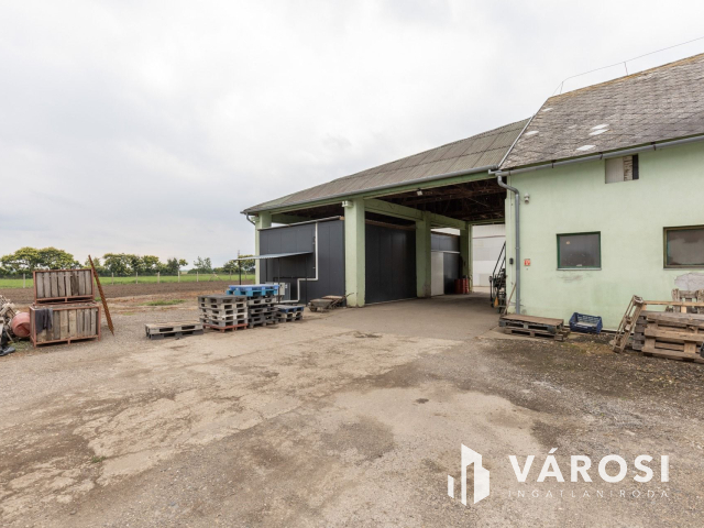 Makói, mezőgazdasági tanya/telephely eladó!
