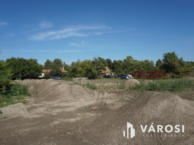 Építkezzen egy hórgásztó mellett!