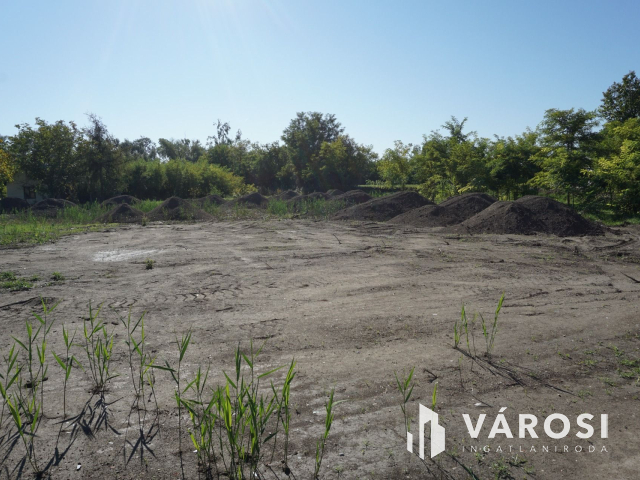 Építkezzen egy hórgásztó mellett!