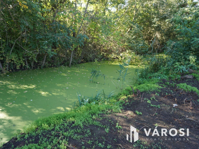 5176 m2 telek több lehetőséggel Gyulán!