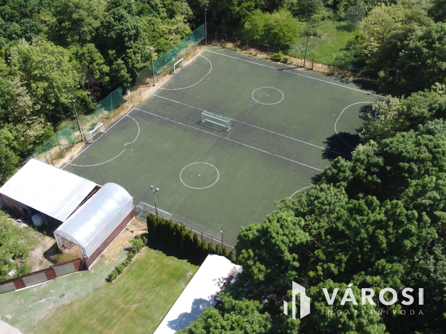 Békéscsabai paradicsom