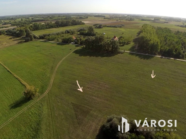 15 hektáros birtok Szegedhez közel