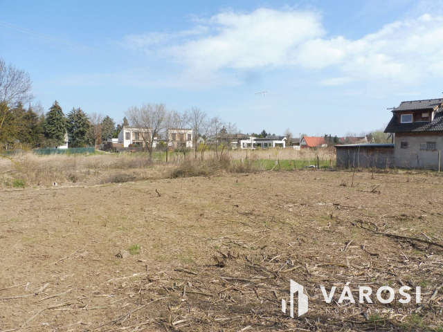 Újszegedi zártkert a Maros parton eladó!