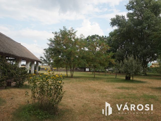 Igényes tanyakomplexum akár falusi turizmusra!