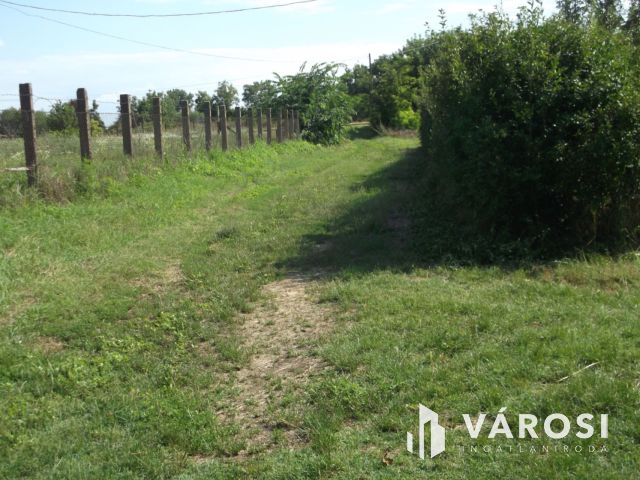 Eladó telek a gyulai ipari parkban