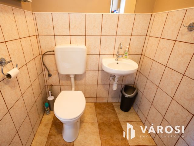 Praktikus elrendezésű ház parkosított kerttel a belvárosban