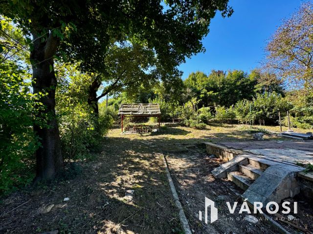 Telek, ahol az ötletek otthonra lelnek!