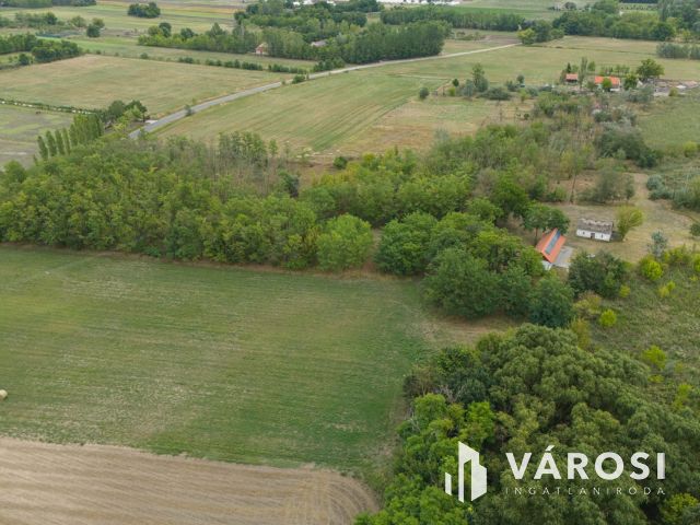 Teljesen felújított tanya nagy területtel és vízparttal