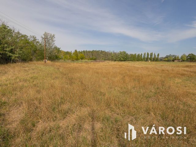 Teljesen felújított tanya nagy területtel és vízparttal