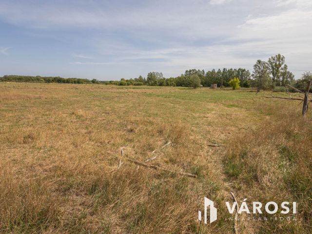 Teljesen felújított tanya nagy területtel és vízparttal