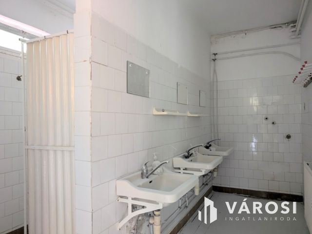 Nagy vízparti telek épületekkel a Kákafoki holtágon!