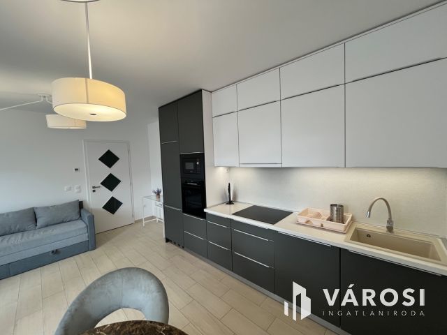 Debrecen Belvárosban, Dupla komfortos Nagy Lakás Kiadó!