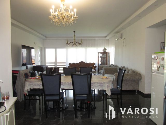 Új építésű nagy családi ház tágas telekkel