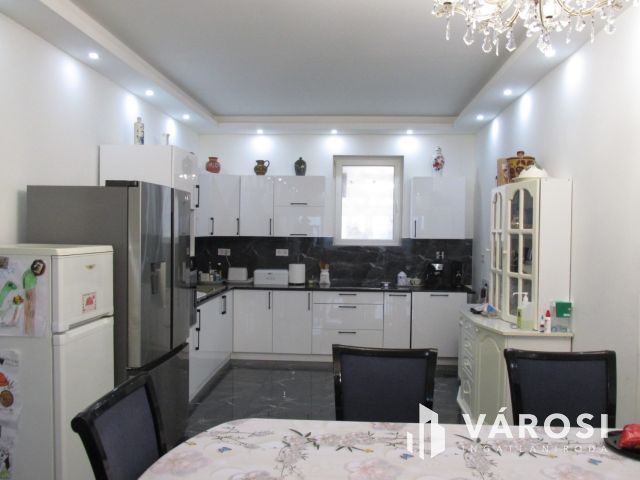 Új építésű nagy családi ház tágas telekkel