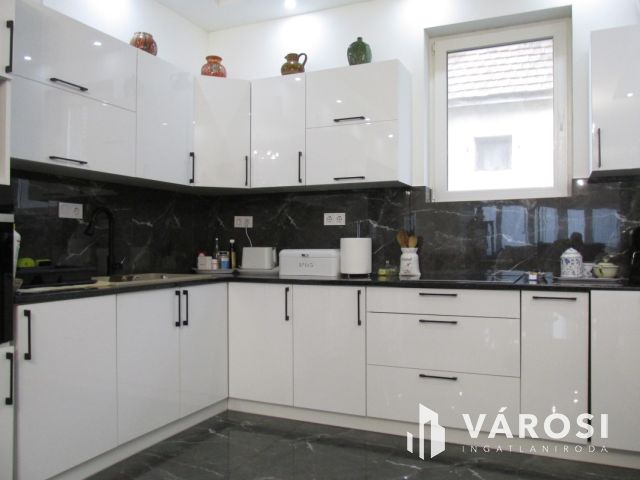 Új építésű nagy családi ház tágas telekkel