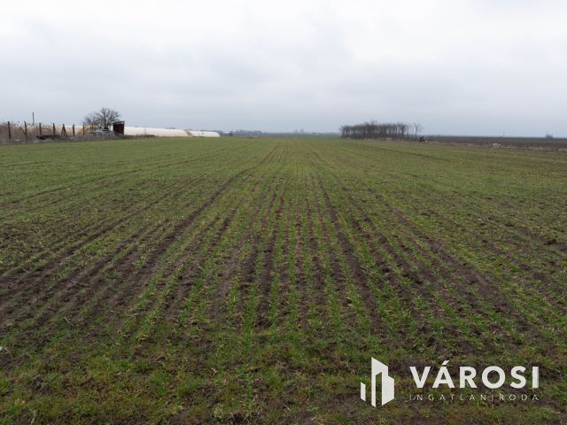 Kiemelt fejlesztési terület Röszke M5 autópálya közelében