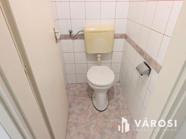 Ház + üzlet vagy 2 lakás?