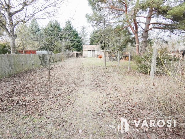 Szigetmonostor központi részén!