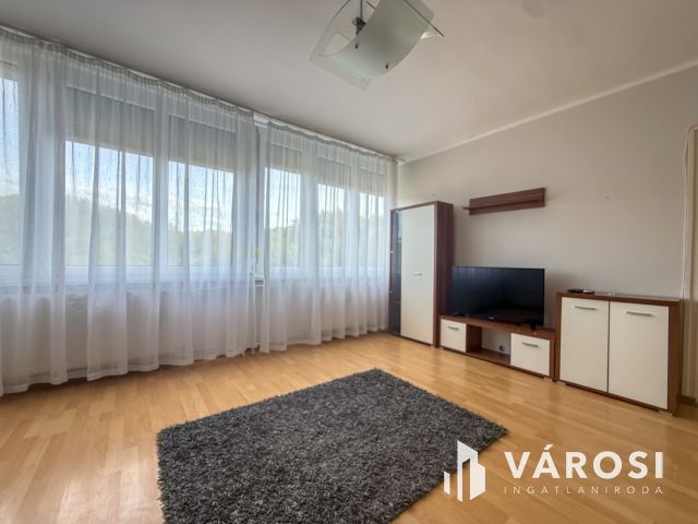 Arany János úton 1+1 félszobás lakás kiadó!