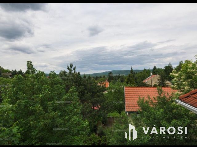 Zöldövezeti panoráma szaunával,konditeremmel,dupla garázzsal